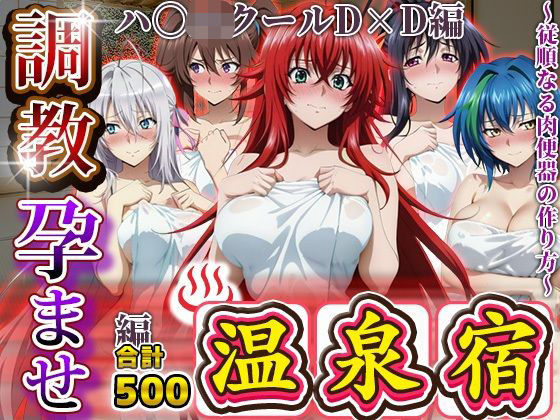 調教孕ませ温泉宿〜従順なる肉便器の作り方〜ハ〇スクールD×D編