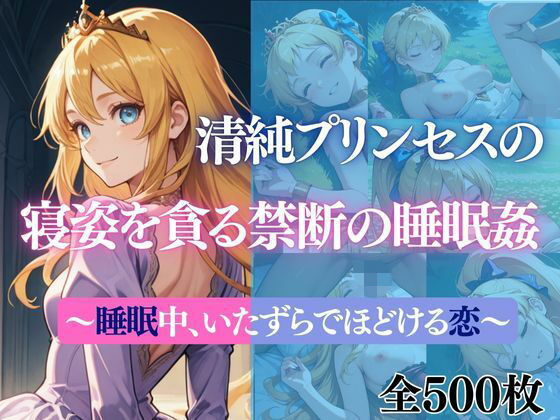 清純プリンセスの寝姿を貪る禁断の睡眠姦〜睡●中、いたずらでほどける恋〜