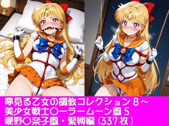 夢見る乙女の調教コレクション8〜美少女戦士〇ーラームーン風5・愛野〇奈子風・緊縛編