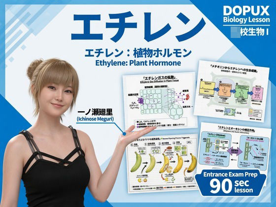 【▲20】一ノ瀬廻里 大学に進学し強豪予備校『DOPUX（ドピュックス』で生物I，IIを教える名物講師に！（Vol.042:エチレン）